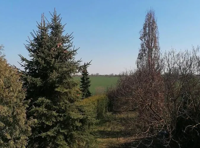 公寓 Iv Sarrebriese *